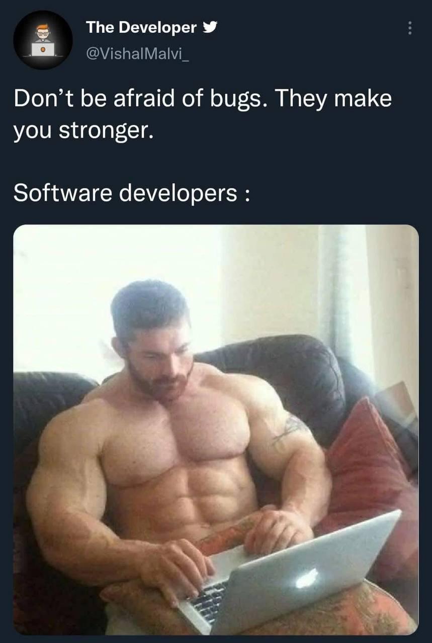 theyMakeYouStronger | developer-memes, software-memes, software developer-memes, bugs-memes, bug-memes | ProgrammerHumor.io