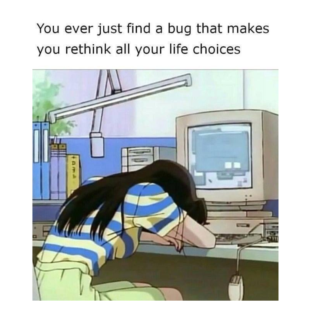 meEverySingleDay | bug-memes | ProgrammerHumor.io