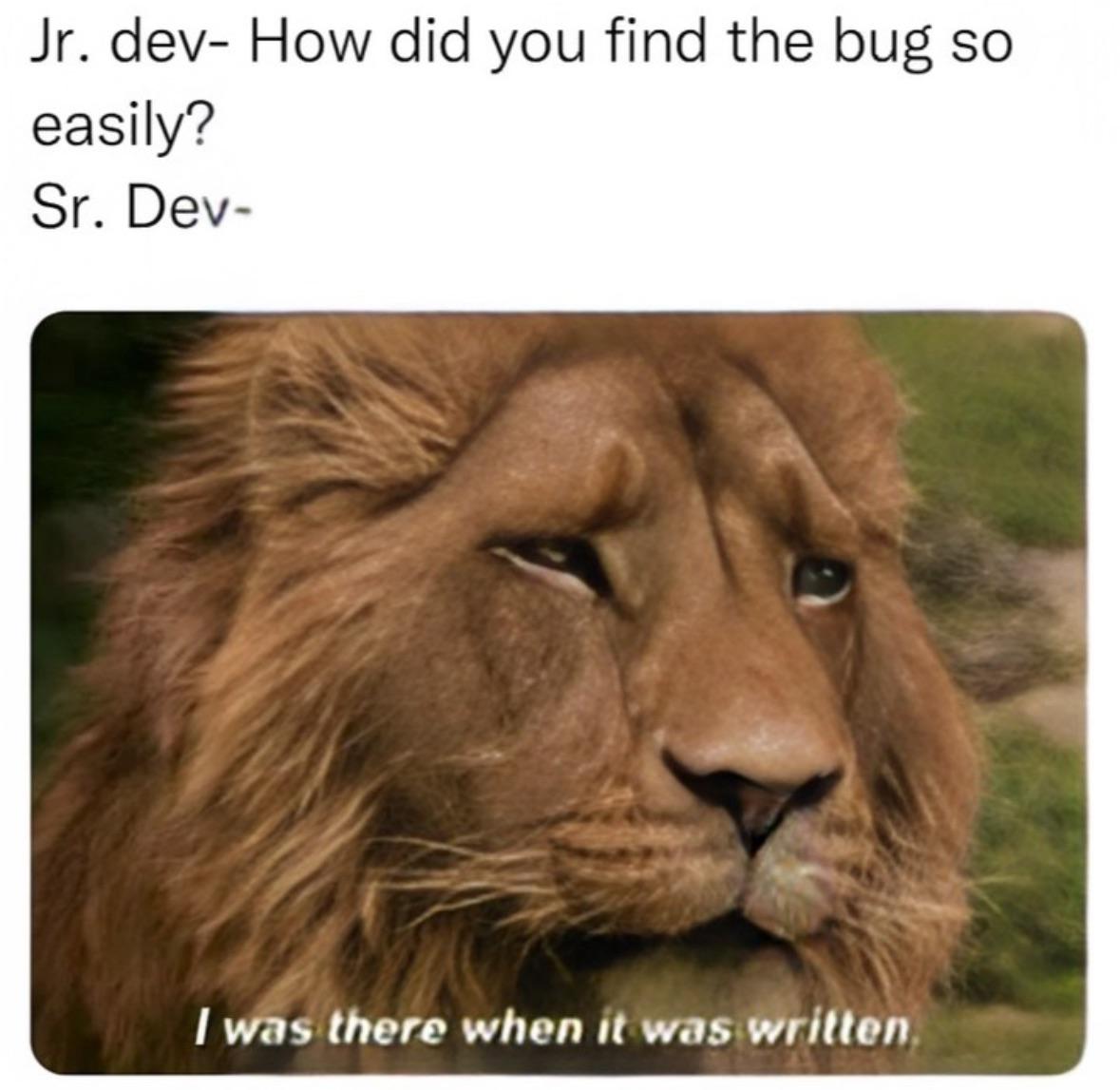 iAmWhoIAm | bug-memes | ProgrammerHumor.io