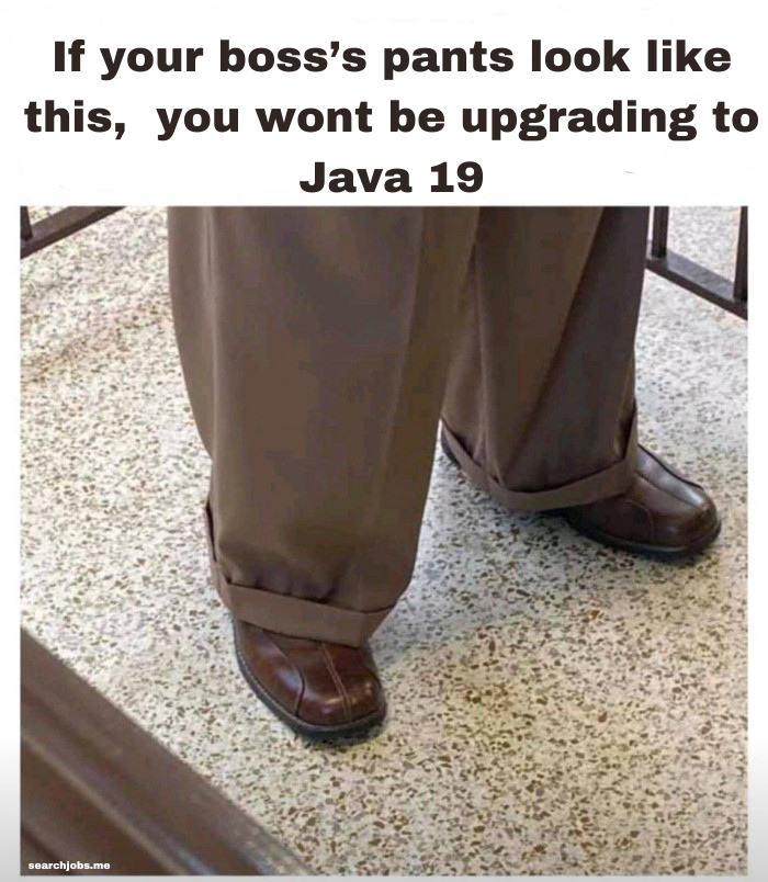 youWontUpgradeToJava19 | java-memes, search-memes | ProgrammerHumor.io