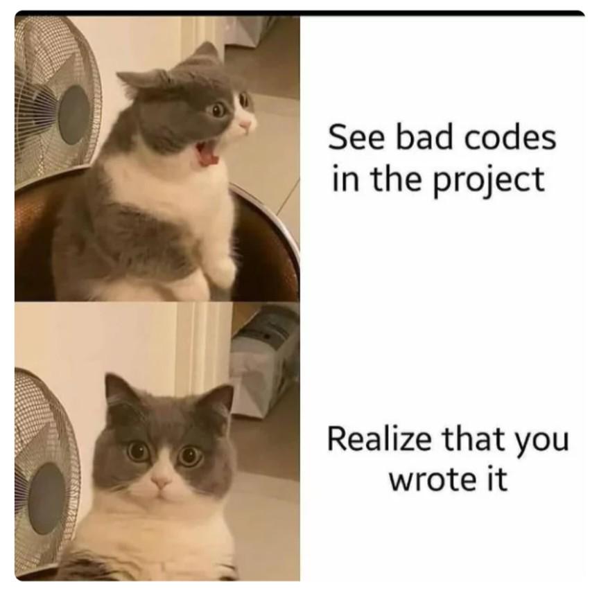 dangItWasMe | code-memes, bad code-memes, git-memes, IT-memes | ProgrammerHumor.io