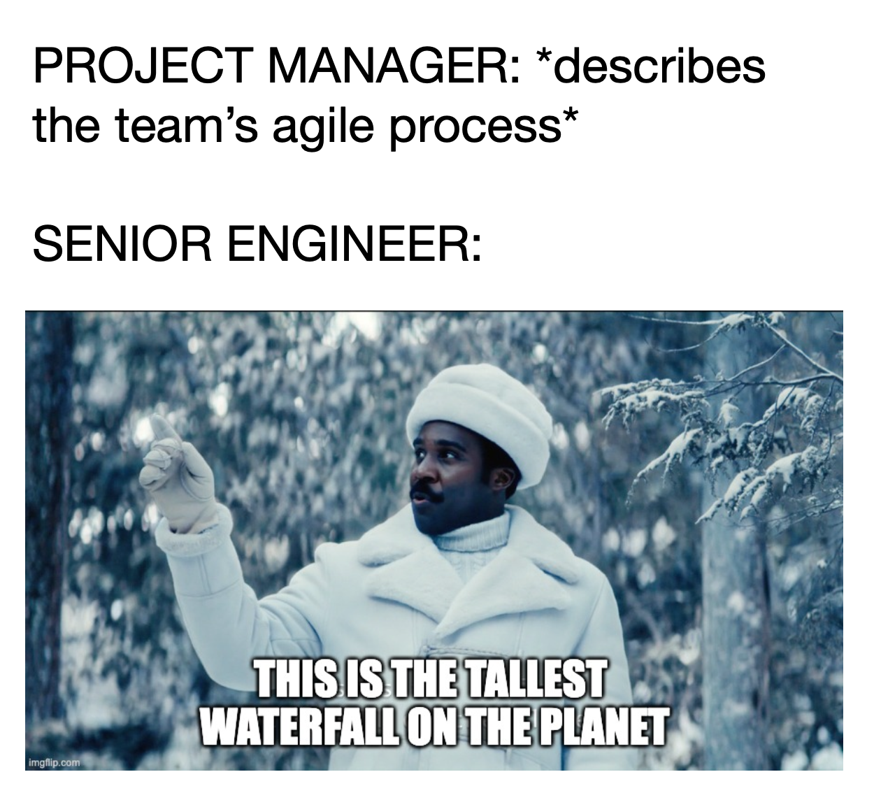 whatEvenIsAgile | engineer-memes, manager-memes | ProgrammerHumor.io