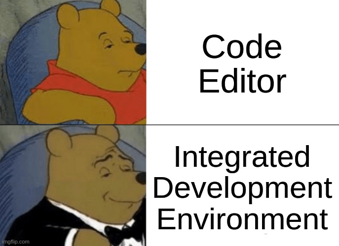 codeEditorOrIDEthisIsTheQuestion | code-memes, development-memes, ide-memes | ProgrammerHumor.io