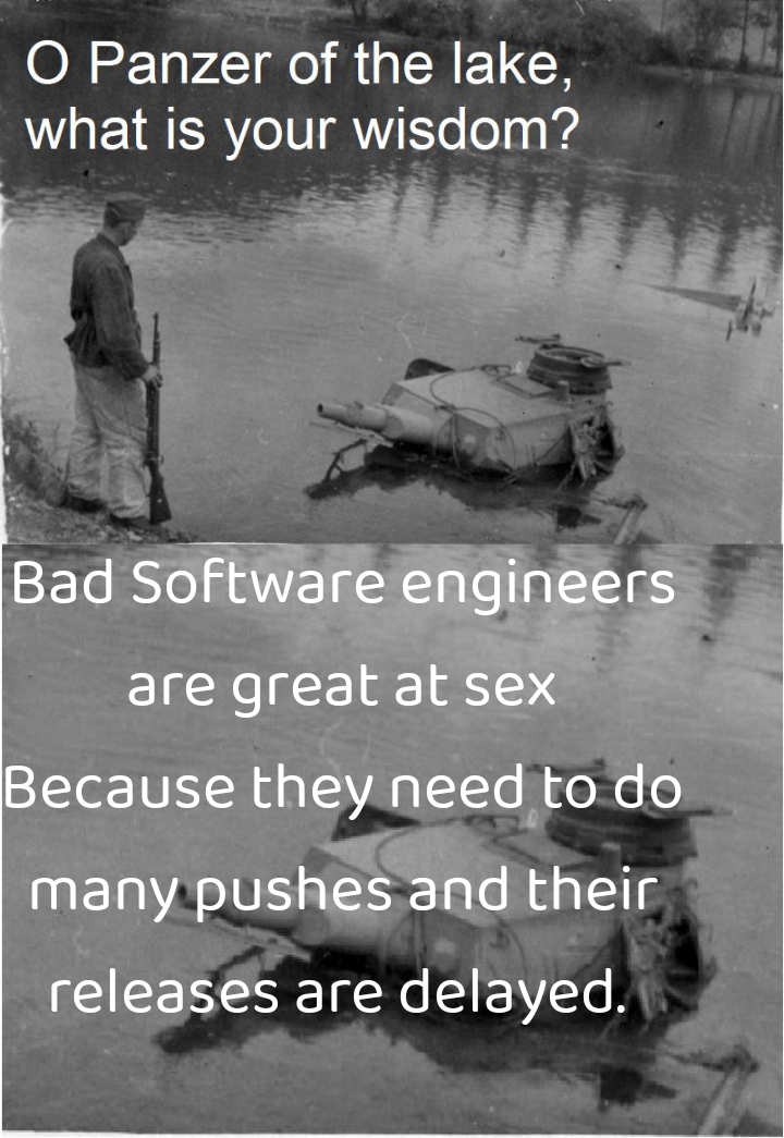 badSoftwareGoodSex | software-memes | ProgrammerHumor.io