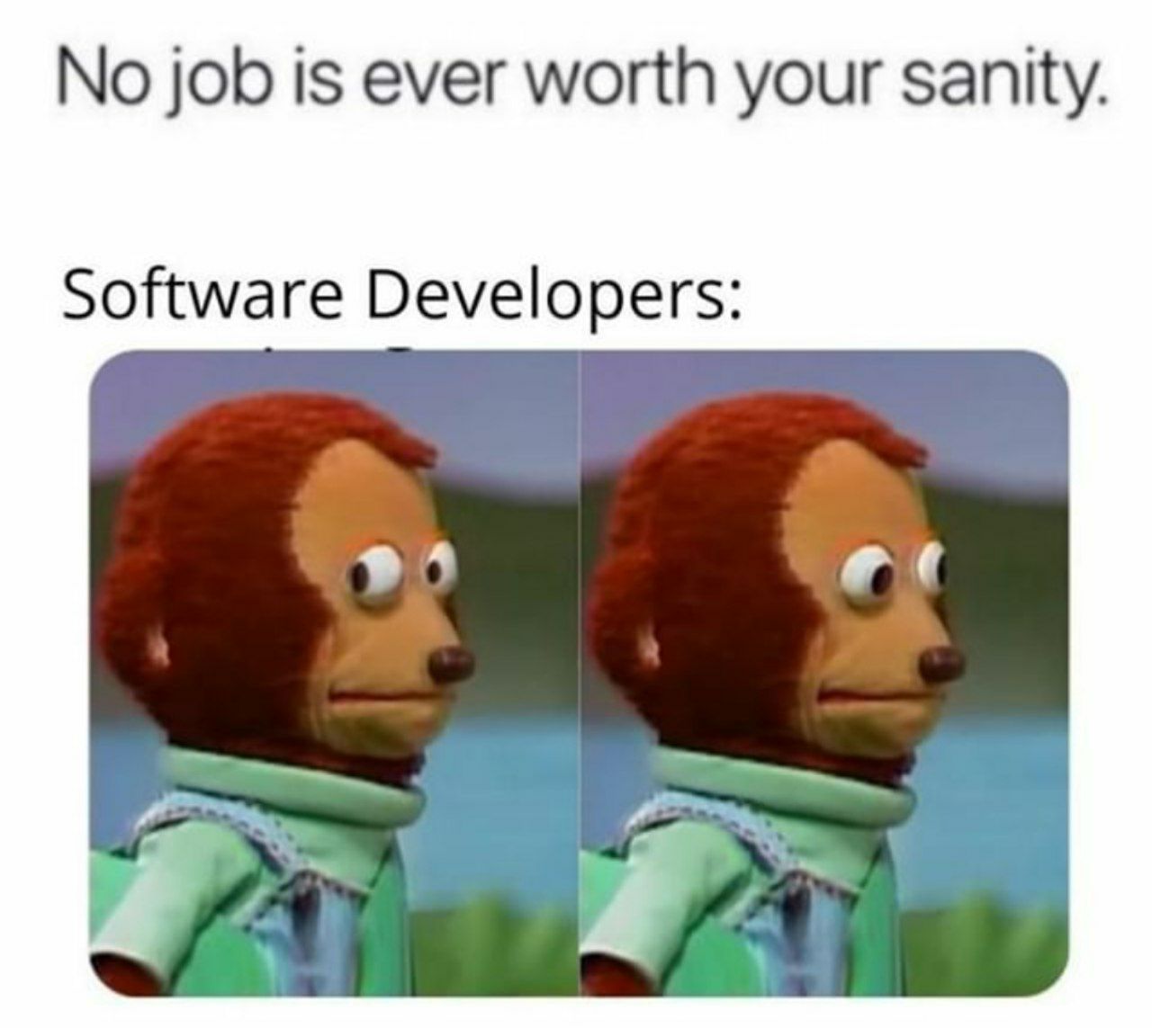 insanity | developer-memes, software-memes, software developer-memes | ProgrammerHumor.io