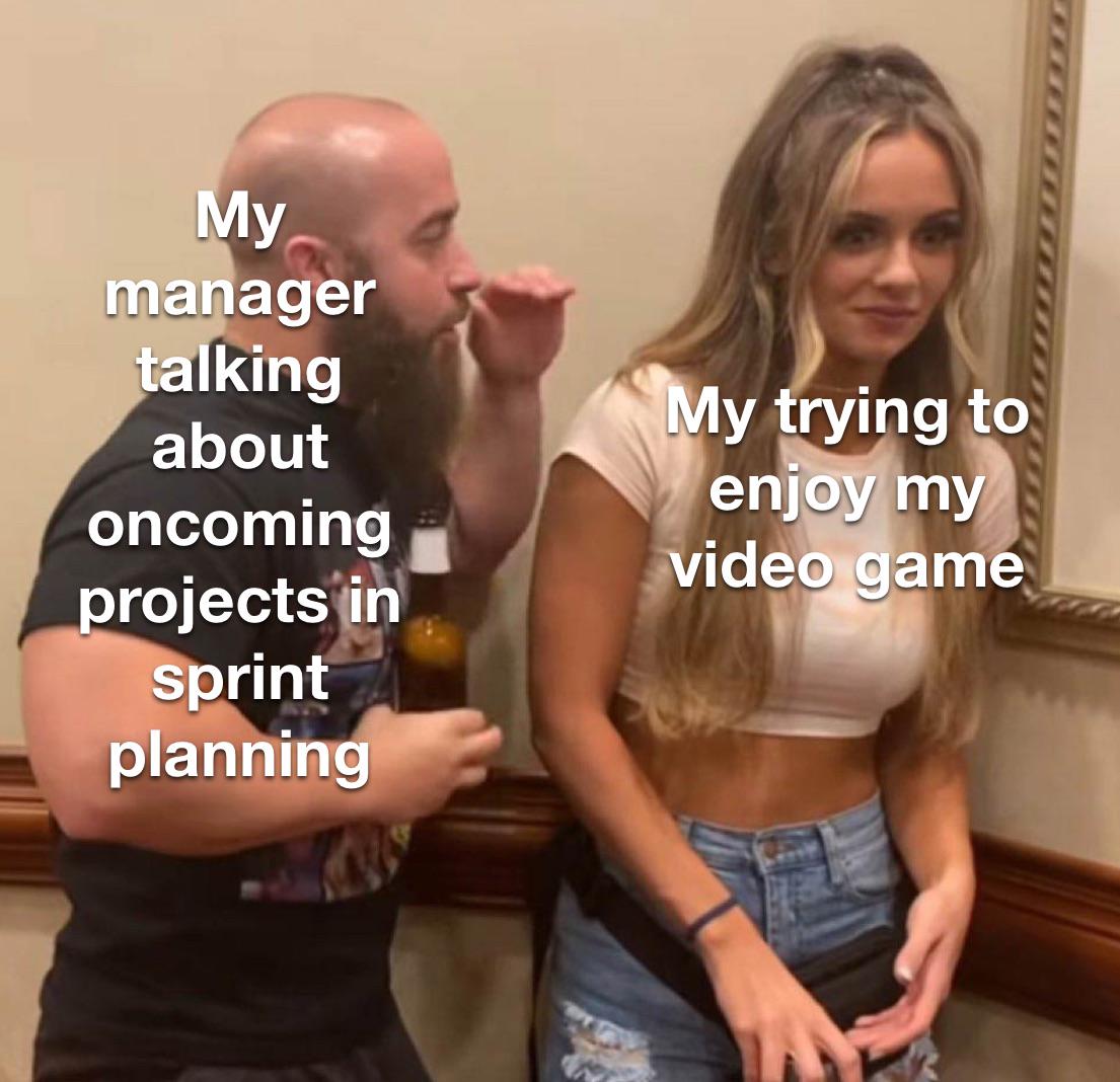 sprintPlanning | try-memes, ide-memes, manager-memes | ProgrammerHumor.io