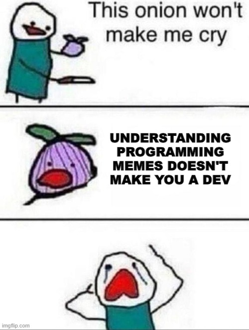 A different version of the original meme | programming-memes, program-memes, version-memes | ProgrammerHumor.io