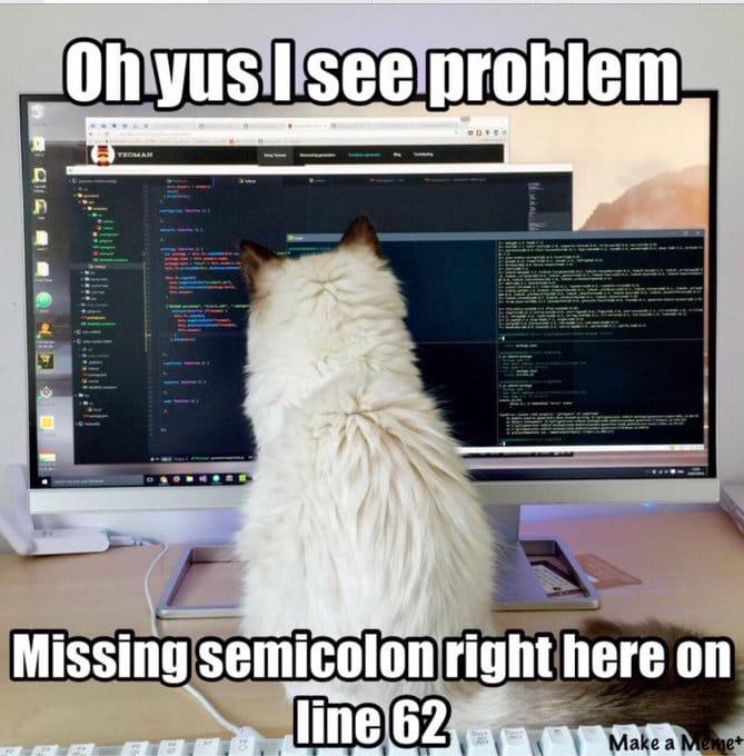 programmerCat | programmer-memes, program-memes, semicolon-memes | ProgrammerHumor.io