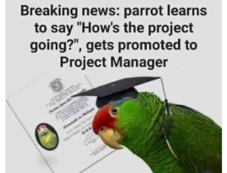 breakingNews | manager-memes | ProgrammerHumor.io