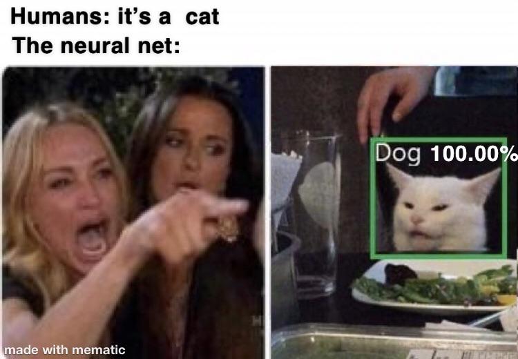 Working with custom Neural Mets be like | ProgrammerHumor.io