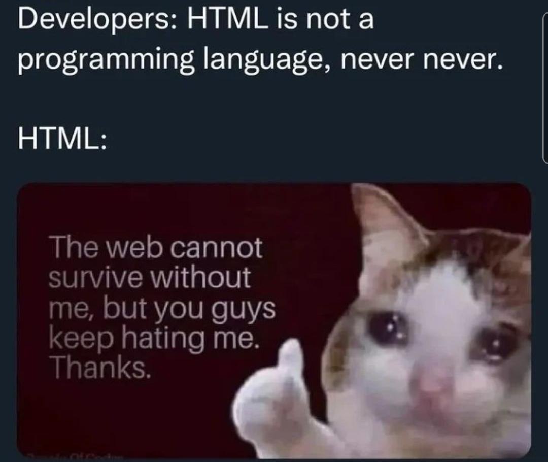 poorHtml | programming-memes, developer-memes, html-memes, web-memes, program-memes, ML-memes, language-memes, programming language-memes | ProgrammerHumor.io