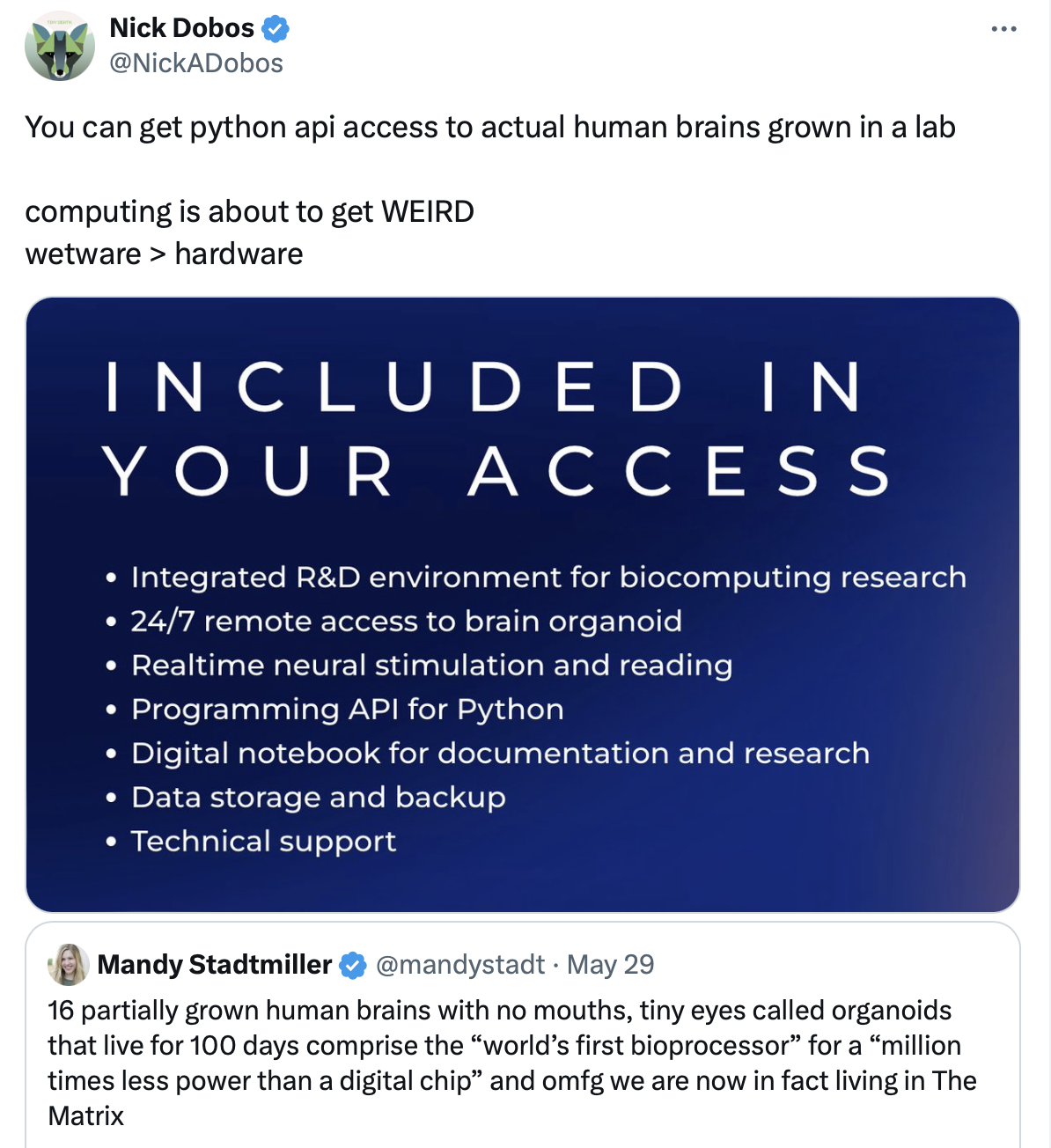 pythonIsTheFuture | programming-memes, tech-memes, python-memes, computing-memes, program-memes, git-memes, data-memes, hardware-memes, api-memes, search-memes, documentation-memes | ProgrammerHumor.io