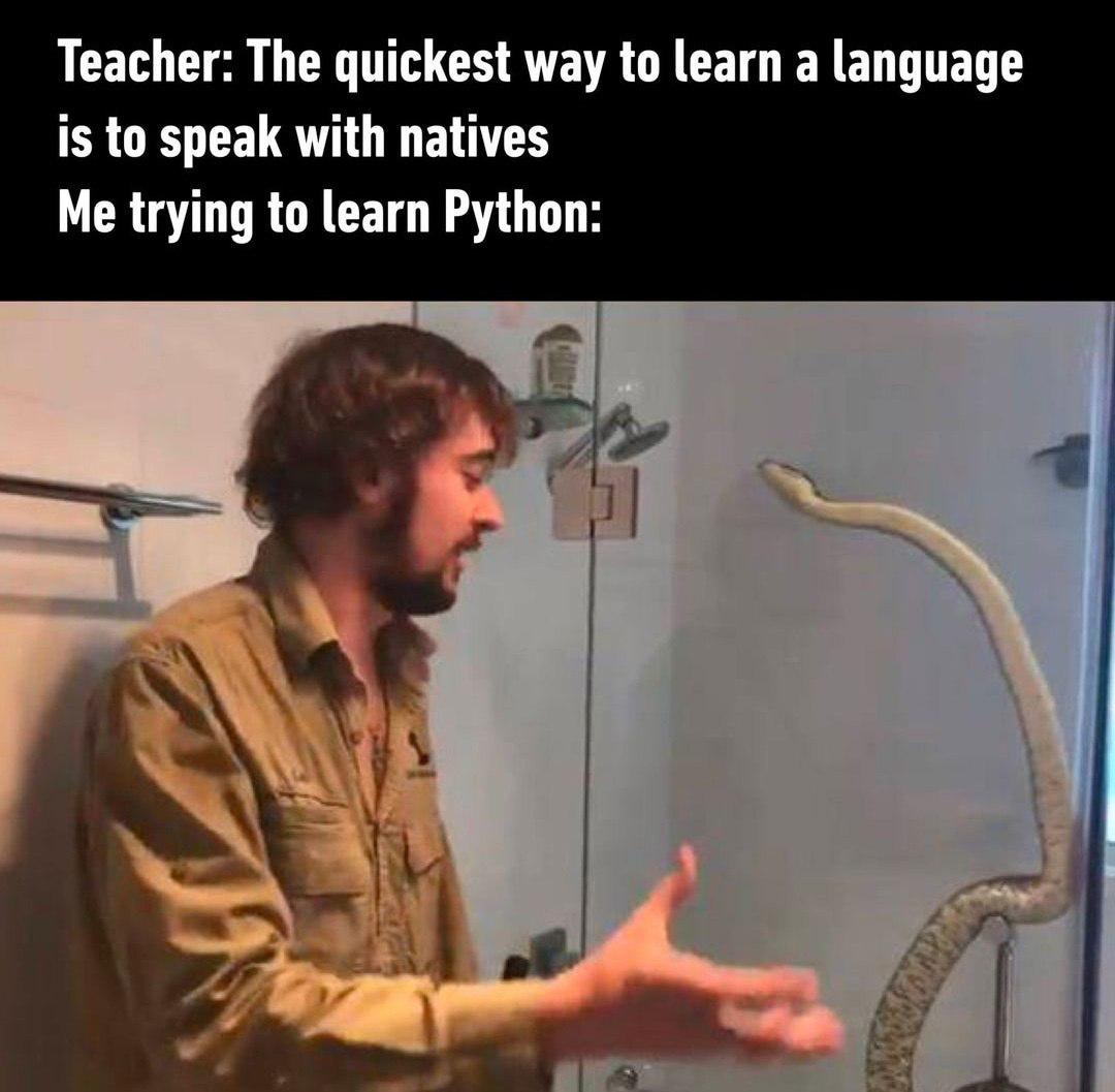 learnPythonTheHardWay | python-memes, try-memes, language-memes | ProgrammerHumor.io