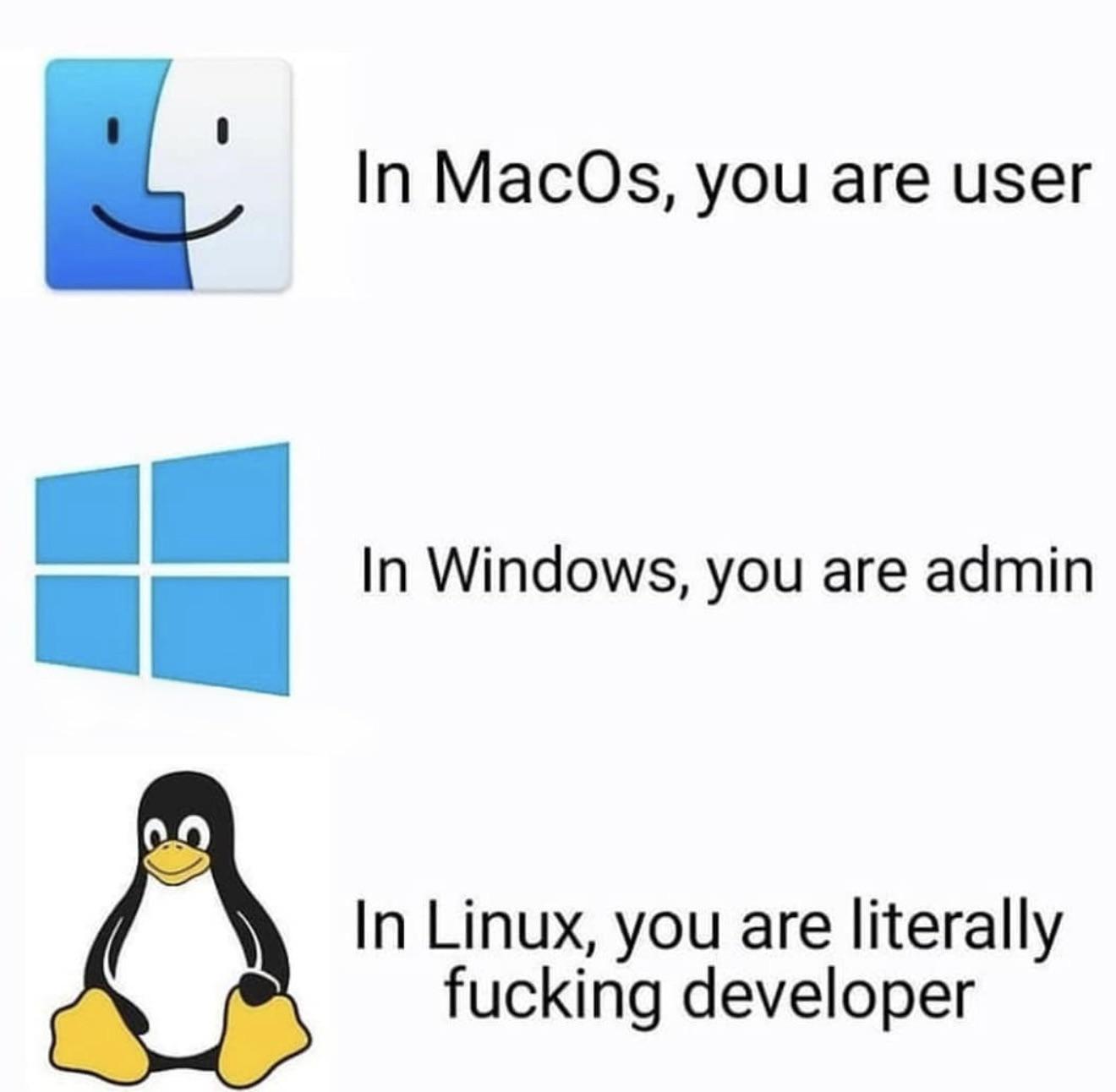 The Operating System Hierarchy Of Pain