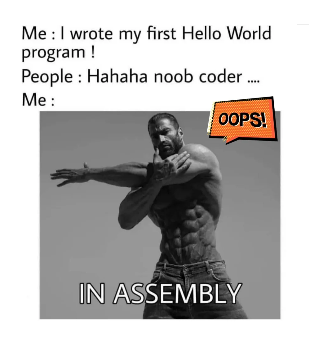 From Zero To Hero In Assembly