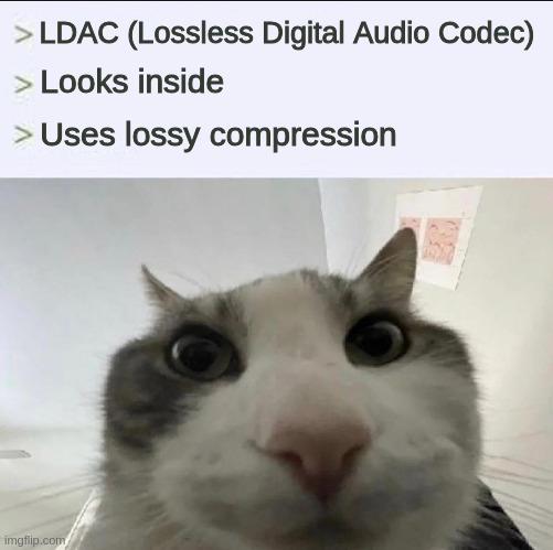 The L In LDAC Stands For Lies