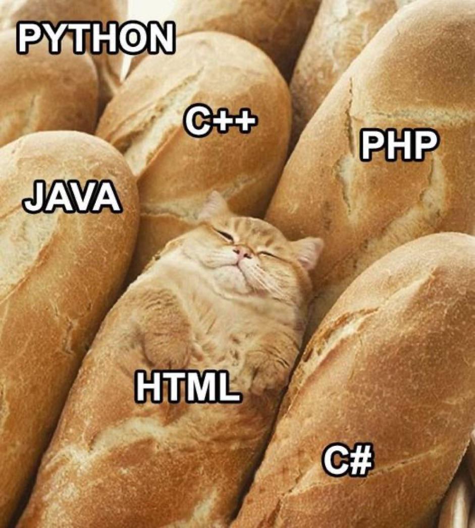 Htmlis Aprogramming Language Dawg