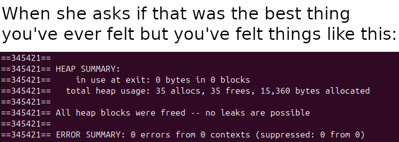 No Memory Leaks: A Programmer's True Love Story