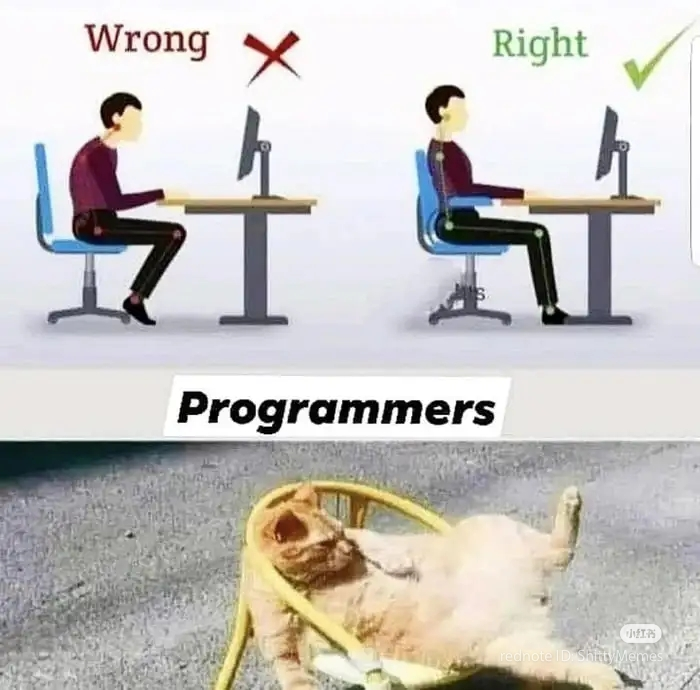 The Evolutionary Posture Of Code Warriors