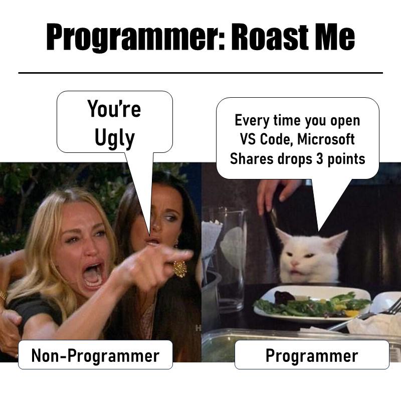 Programmer Got Roasted