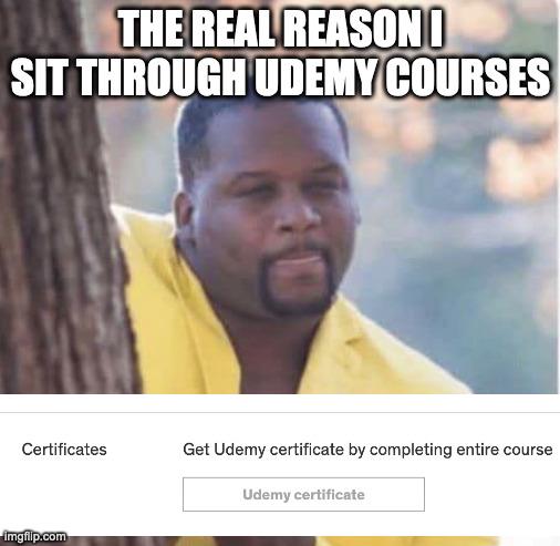The Certificate Chase: Udemy's Digital Participation Trophy