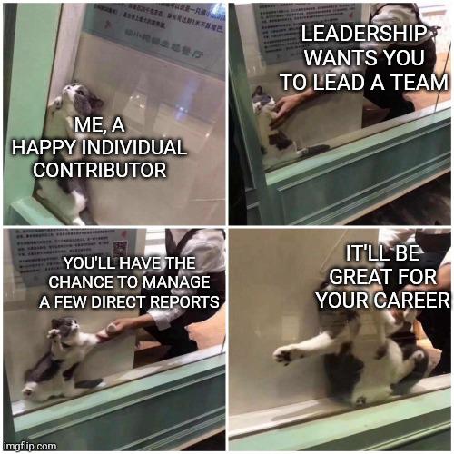 It's A Great Opportunity