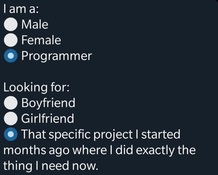 The True Developer Dating Profile