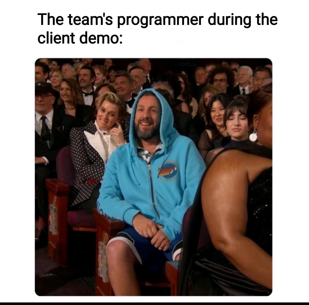 When The Only Person Who Understands The Code Must Explain It To The Client