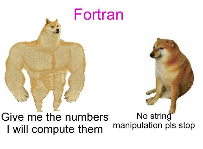 Fort Ran From String Manipulation