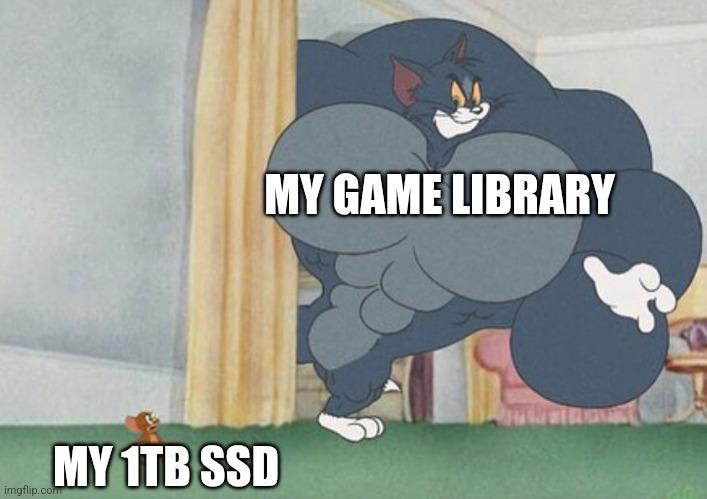 The Storage Arms Race: My 1TB SSD Vs. Modern Game Library