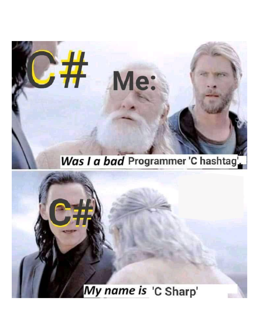 We Call It C Sharp