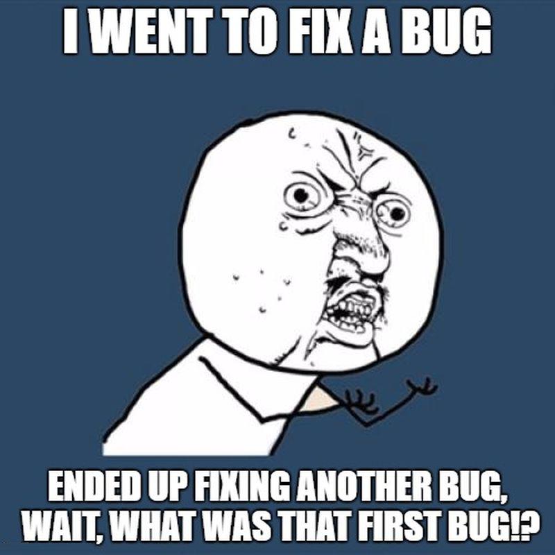 Bug Amnesia