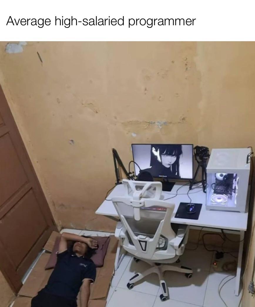Average High-Salaried Programmer