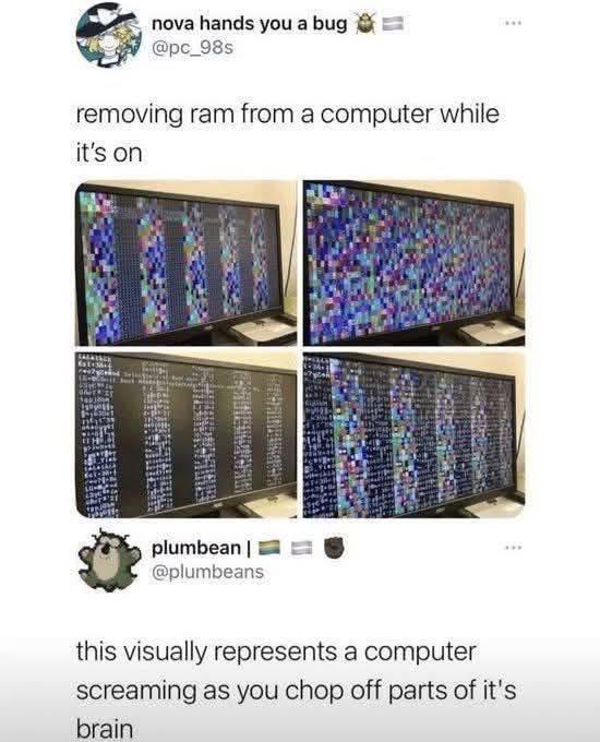 Removing RAM: A Computer's Worst Nightmare