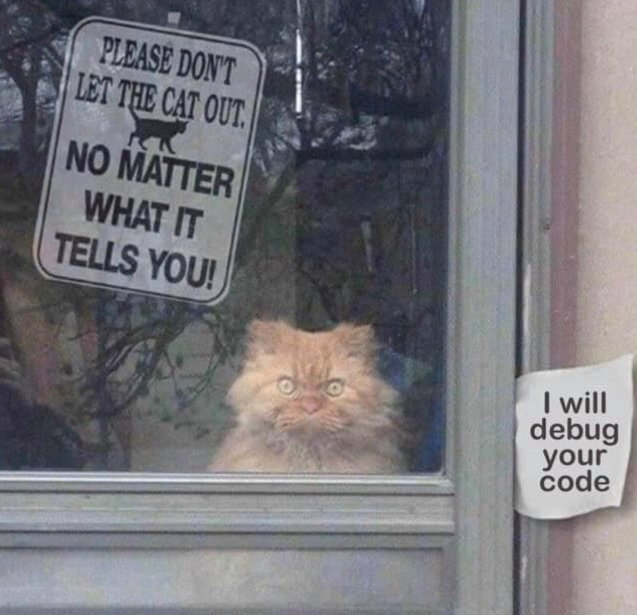 I Will Debug Your Code
