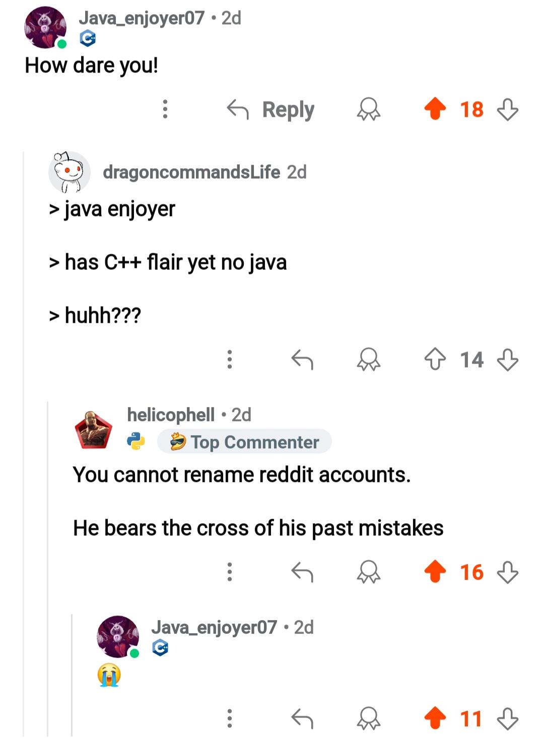 theCrossOfMyPastMistakes | java-memes, c++-memes, command-memes, reddit-memes, comment-memes | ProgrammerHumor.io