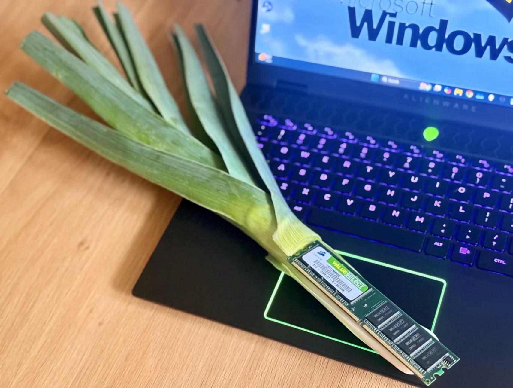 I've Found A Memory Leek