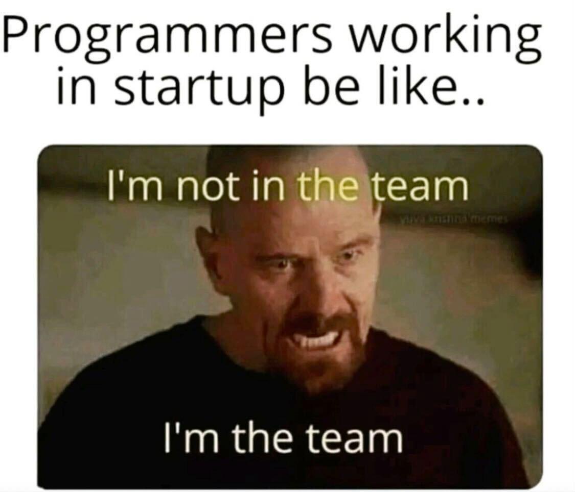 Programmers In Startup