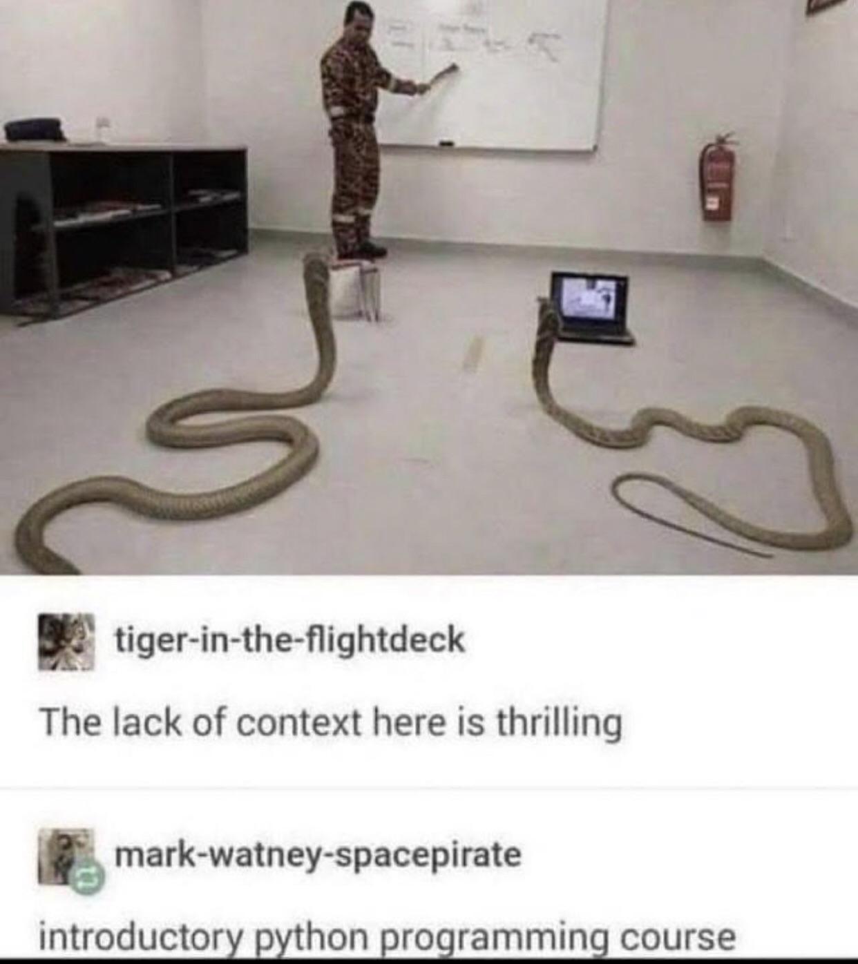 Introductory Python: The Most Literal Programming Course