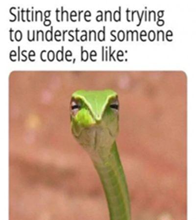 The Universal Programmer Stare
