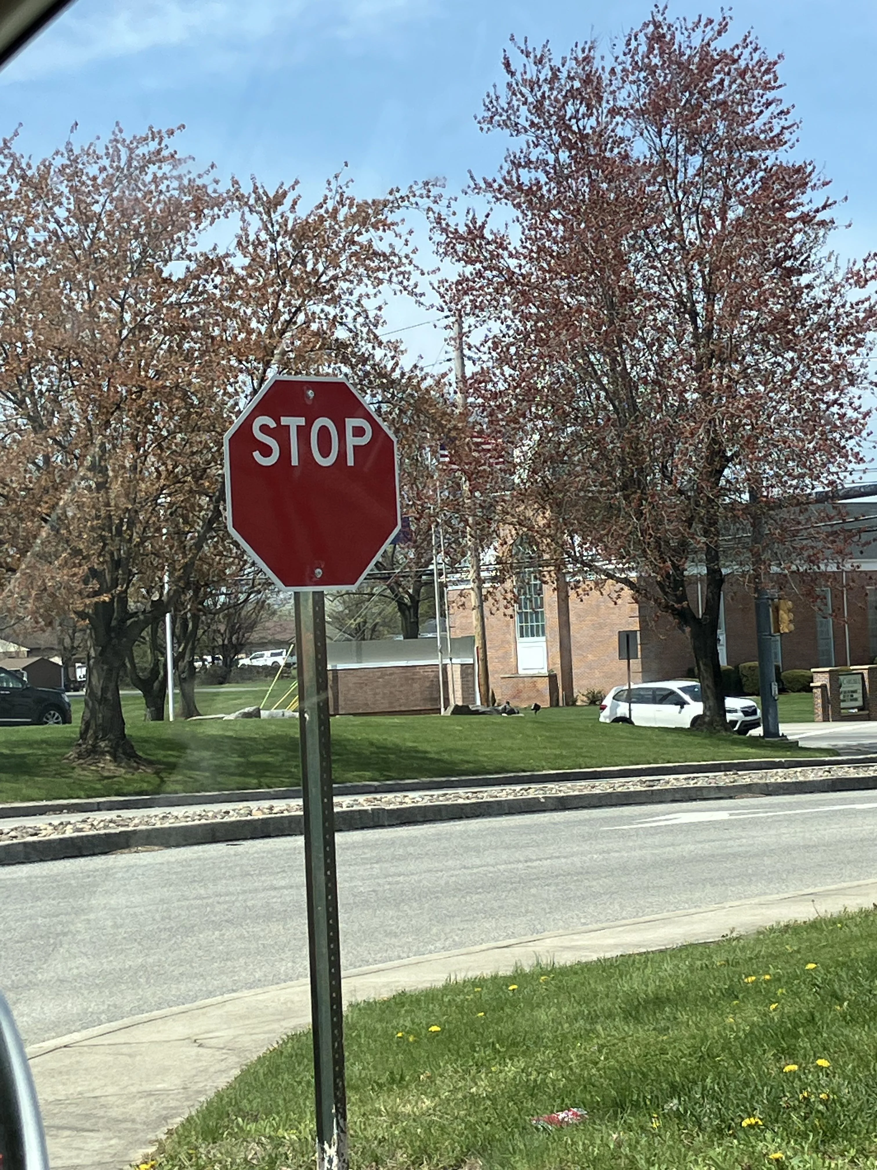 Which One Of You Did This