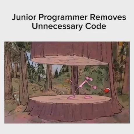 Junior Programmer Removes "Unnecessary" Code