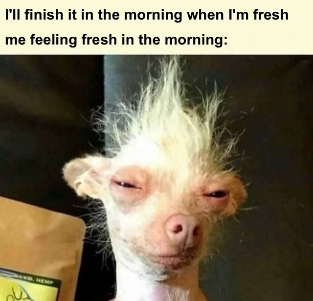 The Morning Productivity Myth