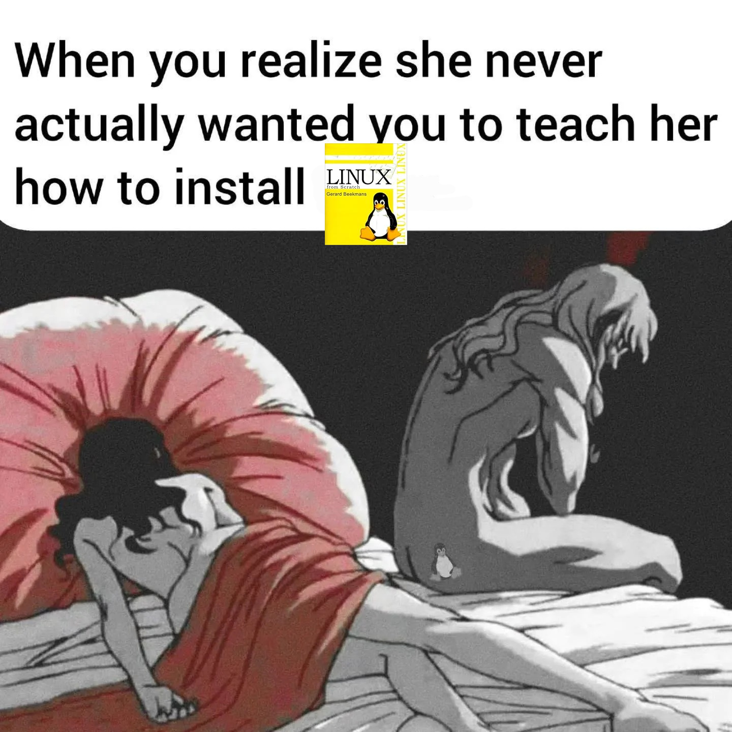 Sad Linux From Scratch User