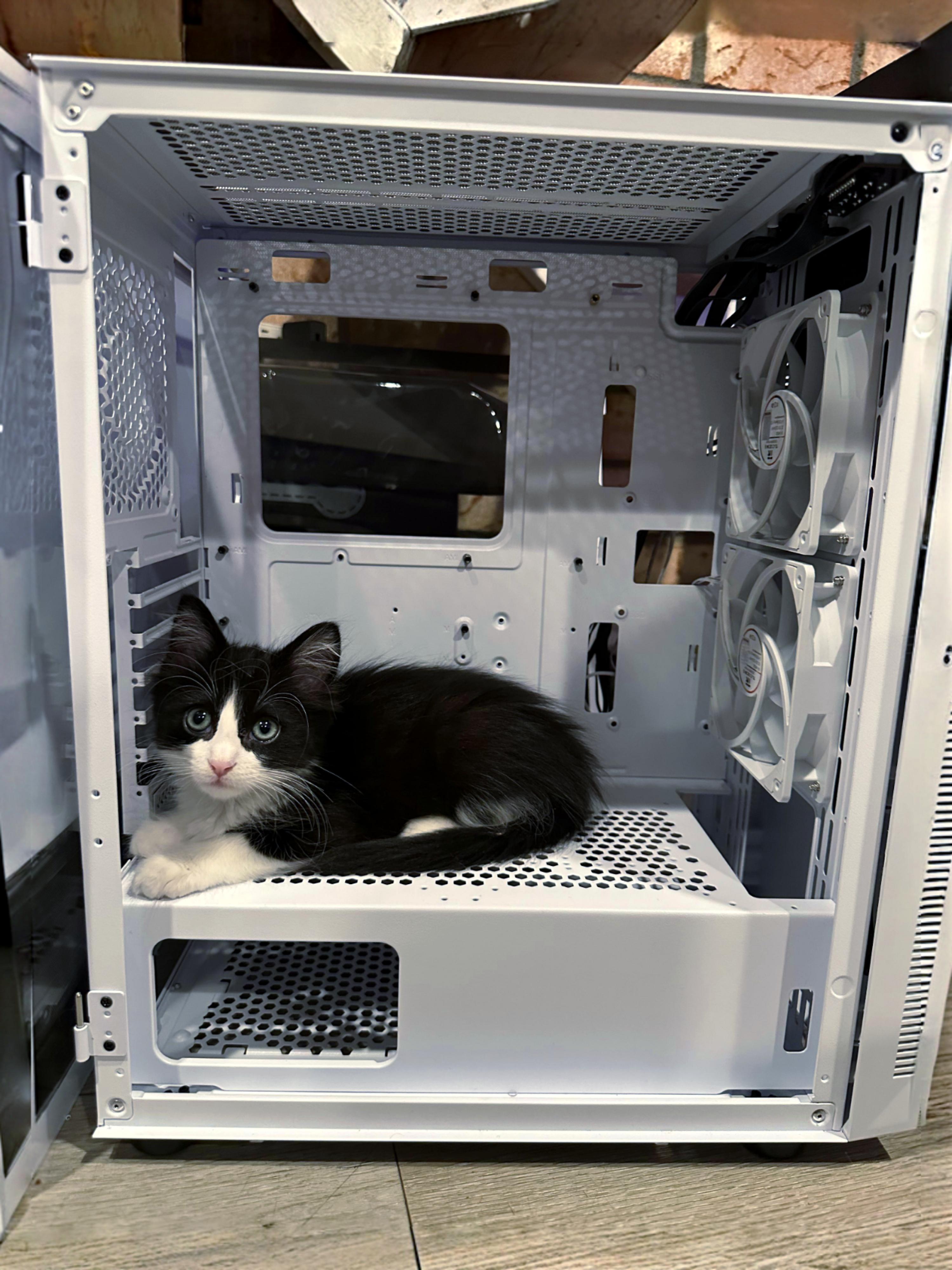 Guys Something’S Wrong With My Pc