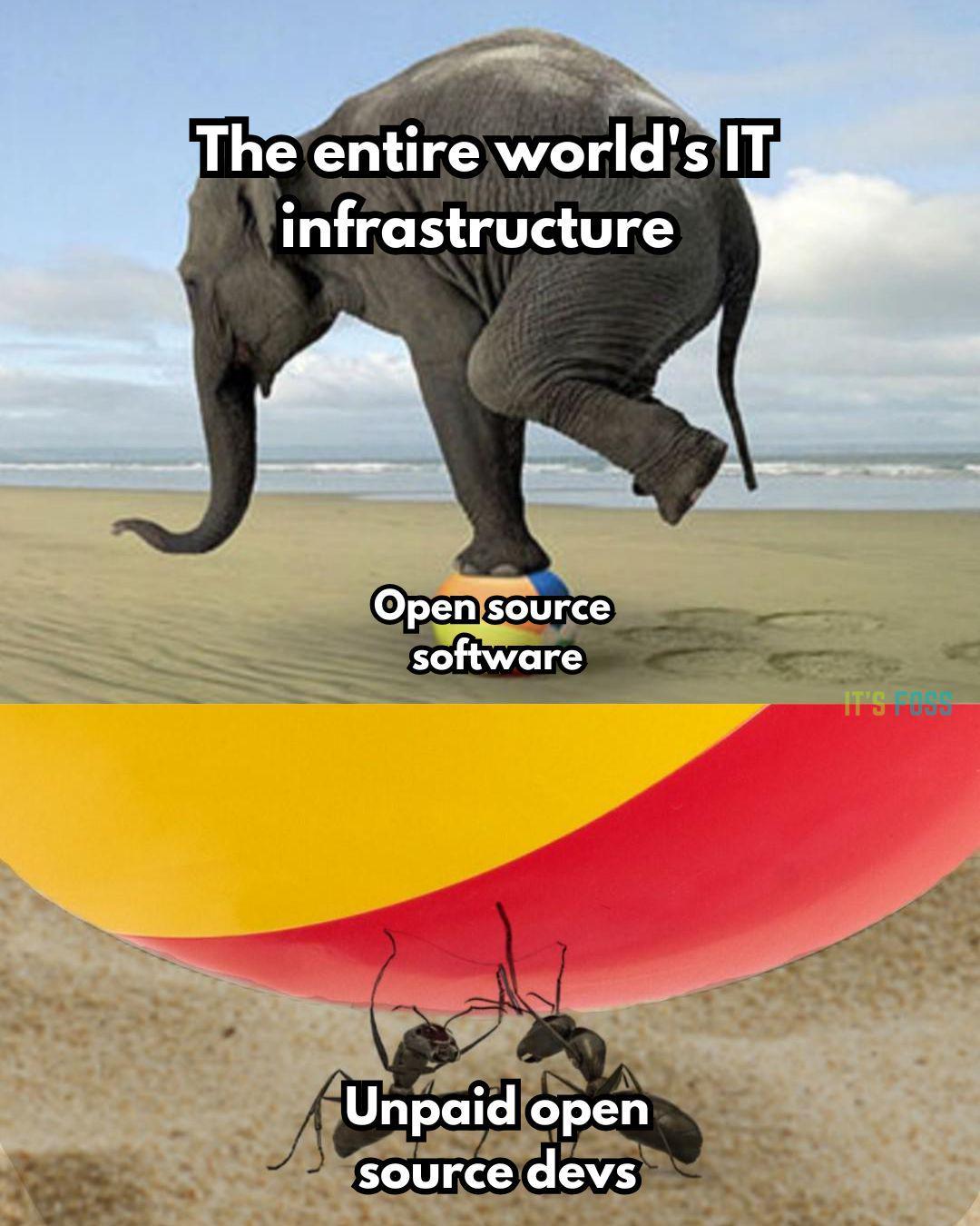 Huge Respect For The Tiny Heroes