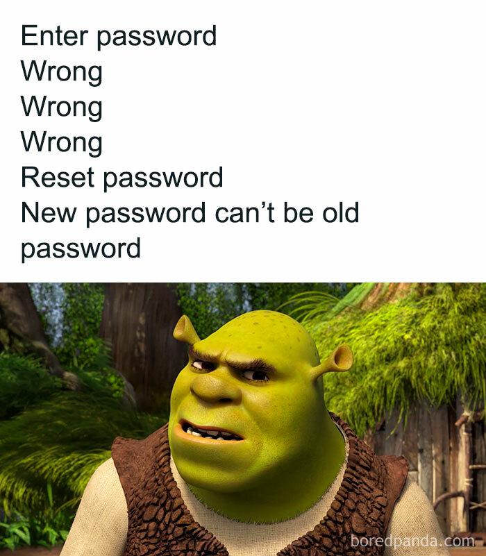 The Password Reset Nightmare