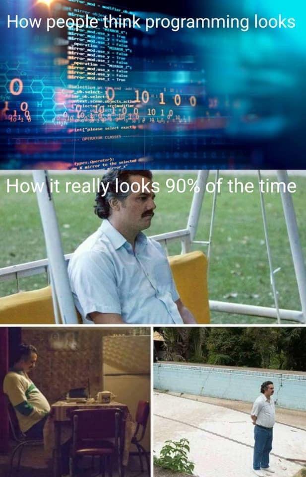 Expectation Vs. Reality: The True Face Of Programming