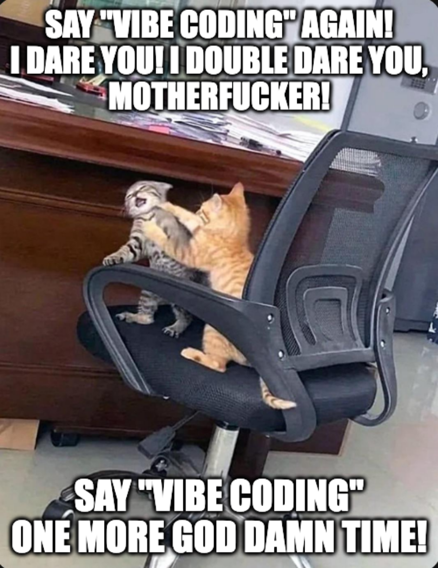 Say "Vibe Coding" Again, I Dare You