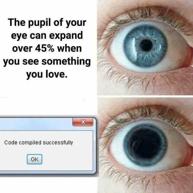 A Programmer's True Love